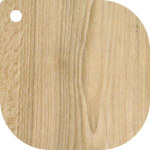 Beech wood sample