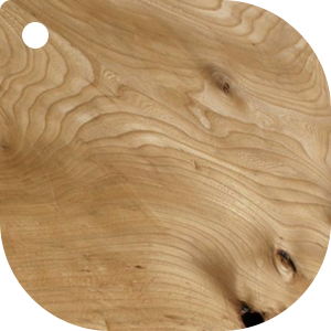 Elm wood sample
